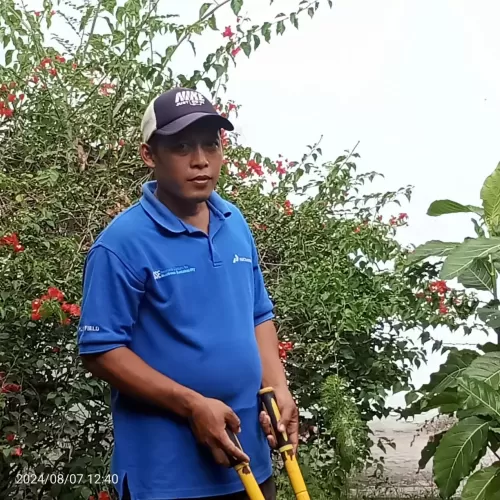 Aman