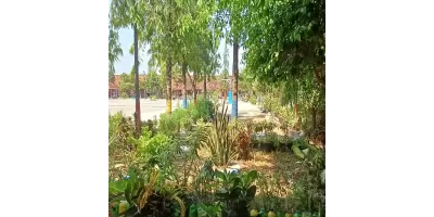 Ruang terbuka Hijau SMPN 1 Cepu