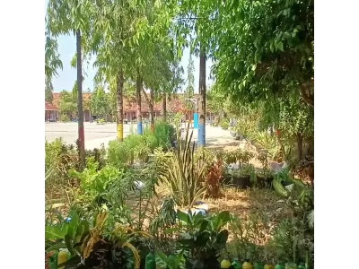 WhatsApp Image 2024-08-07 at 11